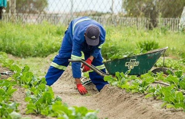 Comment entretenir son jardin écologiquement ?